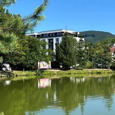 Sunny-apart Polyana (Transcarpathia)
