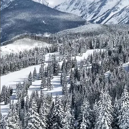 Sunny-apart * Polyana (Transcarpathia)